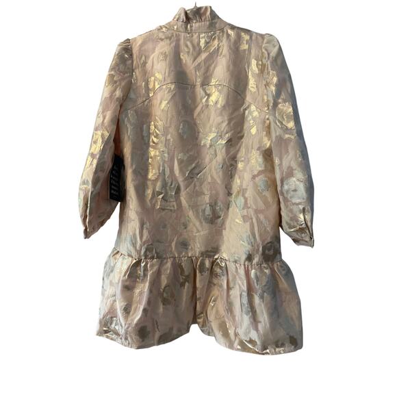 TUCKERNUCK EVERYTHING Must GO Champagne Fil Coupe Palmerston Dress - Picture 7 of 7